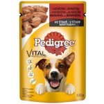 Pedigree s hovězím & králičím masem 100 g – Zboží Mobilmania