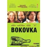 Bokovka DVD – Hledejceny.cz