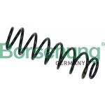 Pružina podvozku Borsehung B12560 – Zboží Mobilmania