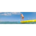 Paddleboard Aquatone Wave 10'6 – Zboží Dáma