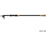 Delphin Torrax 10 ft 3 m 90 g 6 díly – Hledejceny.cz