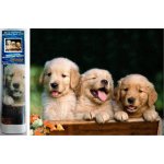 Norimpex Diamantové malování Roztomilé trio 30 x 40 cm – Sleviste.cz