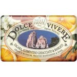 Nesti Dante Dolce Vivere mýdlo Capri 250 g – Zbozi.Blesk.cz