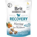 Brit snack Recovery herring & sea buckthorn 150 g – Zboží Mobilmania