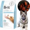 Granule pro psy Brit Veterinary Diet Dog Obesity 2 kg