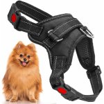 SPRINGOS Postroj pro psa s rukojetí – Sleviste.cz