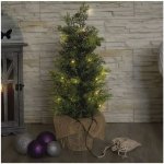 EMOS LED svítící stromek 50 cm venkovní i vnitřní teplá bílá časovač – Hledejceny.cz