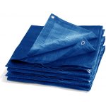 Tritools Zakrývací plachta PE modrá 70gm2 6 x 8 m 8-P19558 – Hledejceny.cz