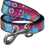 WAUDOG Collar Vodítko nylon – Sleviste.cz