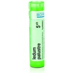 LEDUM PALUSTRE POR 5CH GRA 1X4G – Hledejceny.cz