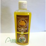 FISH BOMB Tekutý Posilovač s betainem kapr 250 ml – Zboží Mobilmania