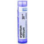 ARGENTUM NITRICUM POR 30CH GRA 1X4G – Hledejceny.cz
