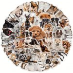 Set 50 samolepek pes – Zbozi.Blesk.cz