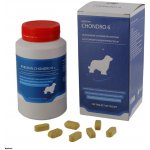 Univit Roboran Chondro 6 pro psy 180 tbl – Hledejceny.cz