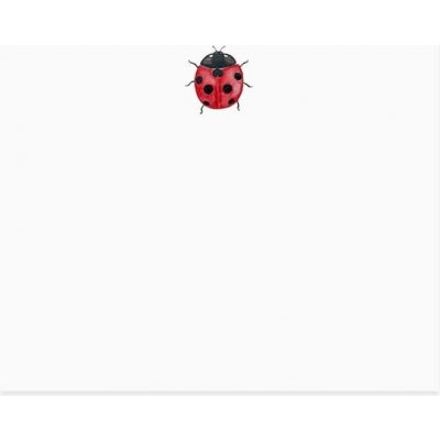 Eulenschnitt Přání Ladybug Watercolor, červená barva, černá barva, bílá barva, papír – Zboží Mobilmania