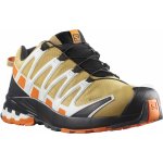 Salomon XA Pro 3D v8 GTX M L41629300 Fall Leaf/Vibrant Orange/white – Zboží Mobilmania