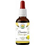 Salvia Paradise Damiána Turnera diffusa AF tinktura 50 ml – Hledejceny.cz