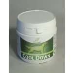 Wild Herbs Phytovet Cool Down 250 g – Hledejceny.cz