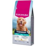 Eukanuba Labrador Retriever 12 kg – Hledejceny.cz