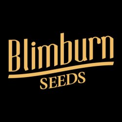 Blimburn Seeds Steve's Alien OG semena neobsahují THC 8 ks