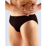 GINO 70047P pánské slipy s úzkým bokem lékořice – Sleviste.cz