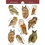 ePipí Arch samolepek A6 sovy – Zboží Dáma ePipí Arch samolepek A6 sovy – Zboží Dáma