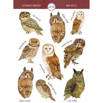 ePipí Arch samolepek A6 sovy – Zboží Dáma ePipí Arch samolepek A6 sovy – Zboží Dáma