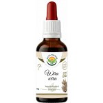Salvia Paradise Wira Wira AF tinktura 50 ml – Hledejceny.cz