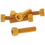Vparts Sada šroubů 6ks inbus zlatá - M5x20 VC21271 – Hledejceny.cz