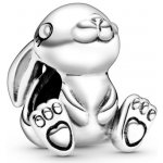 Pandora 798763C00 – Sleviste.cz