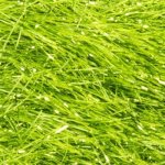 Semperfli Šenylka Extreme String Chartreuse 40mm – Hledejceny.cz