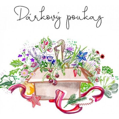 Poukázka k Vánocům v hodnotě 1.000,- Kč – Hledejceny.cz