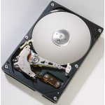 Hitachi Desktar P7K500 500GB, 3,5", SATAII, NQC, 7200rpm, HDP725050GLA360 – Hledejceny.cz