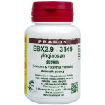 Sinecura EBX 2.9 Yinqiaosan 36 tablet – Hledejceny.cz