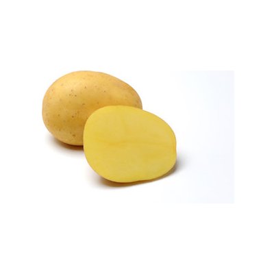 Sadba brambor BELANA balení 5 kg – HobbyKompas.cz
