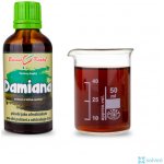 Bylinné kapky Damiana 50 ml – Hledejceny.cz