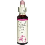 Bachovy květové esence kapky Oak Dub letní 20 ml – Hledejceny.cz
