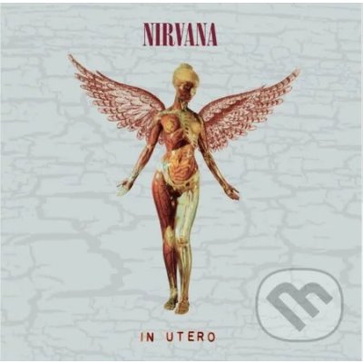 Nirvana - In Utero / 30th Anniversary / Deluxe - Nirvana