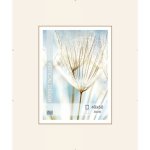 Falc Clip rám normal sklo 40x60 cm – Zboží Živě