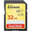 sanDisk SDHC UHS-I U3 32 GB SDSDXVT-032G-GNCIN