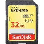 sanDisk SDHC UHS-I U3 32 GB SDSDXVT-032G-GNCIN – Sleviste.cz