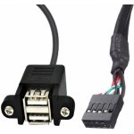 W-star USB/A female 2x na 9pin konektor 2USBPAN9P – Zboží Mobilmania