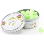 Ashleigh & Burwood Vonný vosk v krabičce JASMINE & BERGAMOT 50 ks – Hledejceny.cz