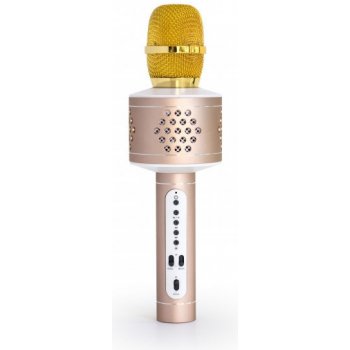 Technaxx BT X35 PRO Bluetooth karaoke mikrofon zlato stříbrná 4611