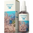 Doplněk stravy Himalaya Energyn Apricot oil 100 ml