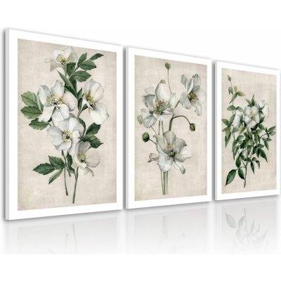 Obraz na plátně WHITE FLOWERS set 3 kusy různé rozměry Ludesign ludesign obrazy: 3x 50x70 cm – Zbozi.Blesk.cz