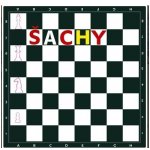 Michael Powell: Šachy pro začátečníky – Zboží Dáma