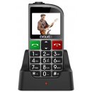 EVOLVEO EasyPhone FM