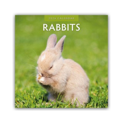 Rabbits Hasen Kaninchen 16-Monats 2026 – Sleviste.cz