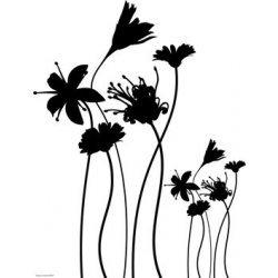 D-c-fix - Samolepící dekorace 3500036 - velur Floral black (65 x 85 cm)